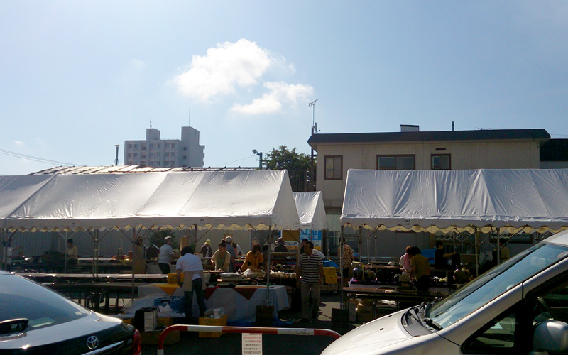 2013071365