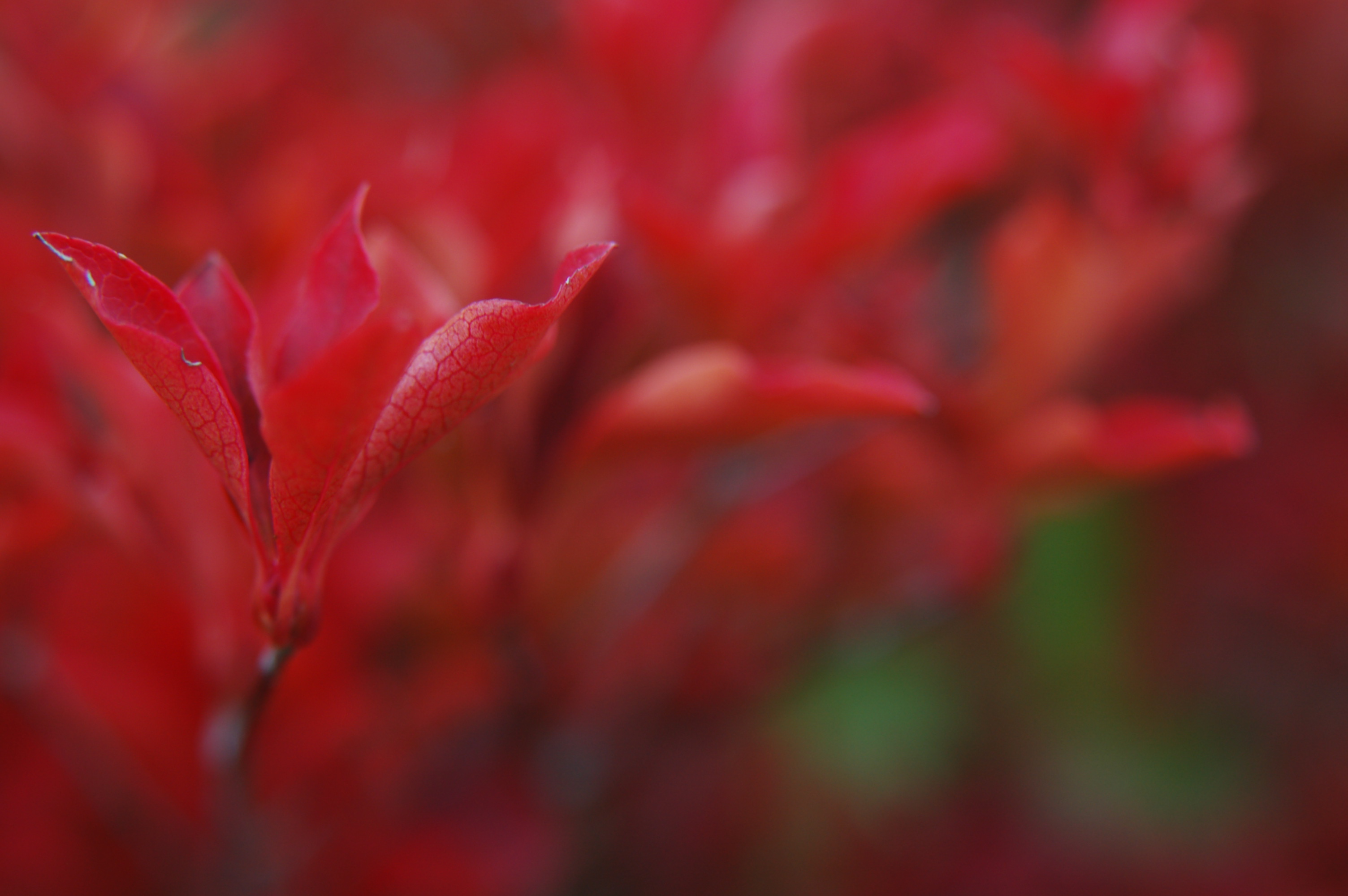2010103188