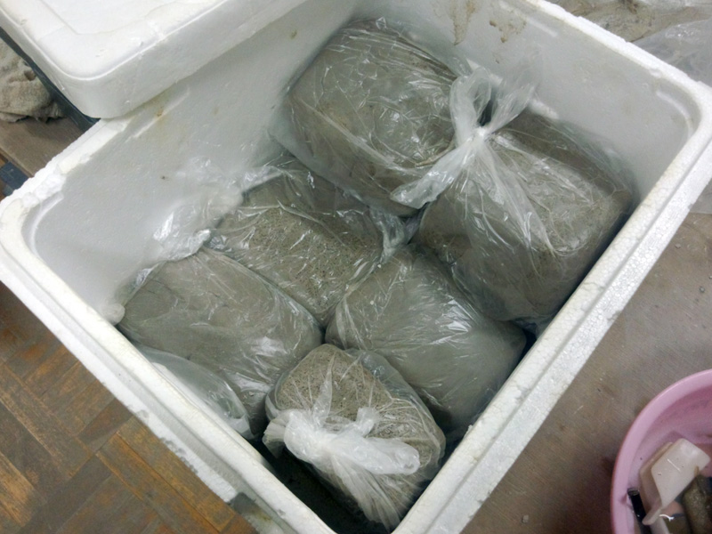 半磁器土