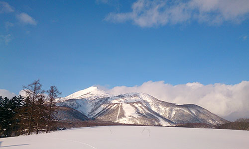 2014021007