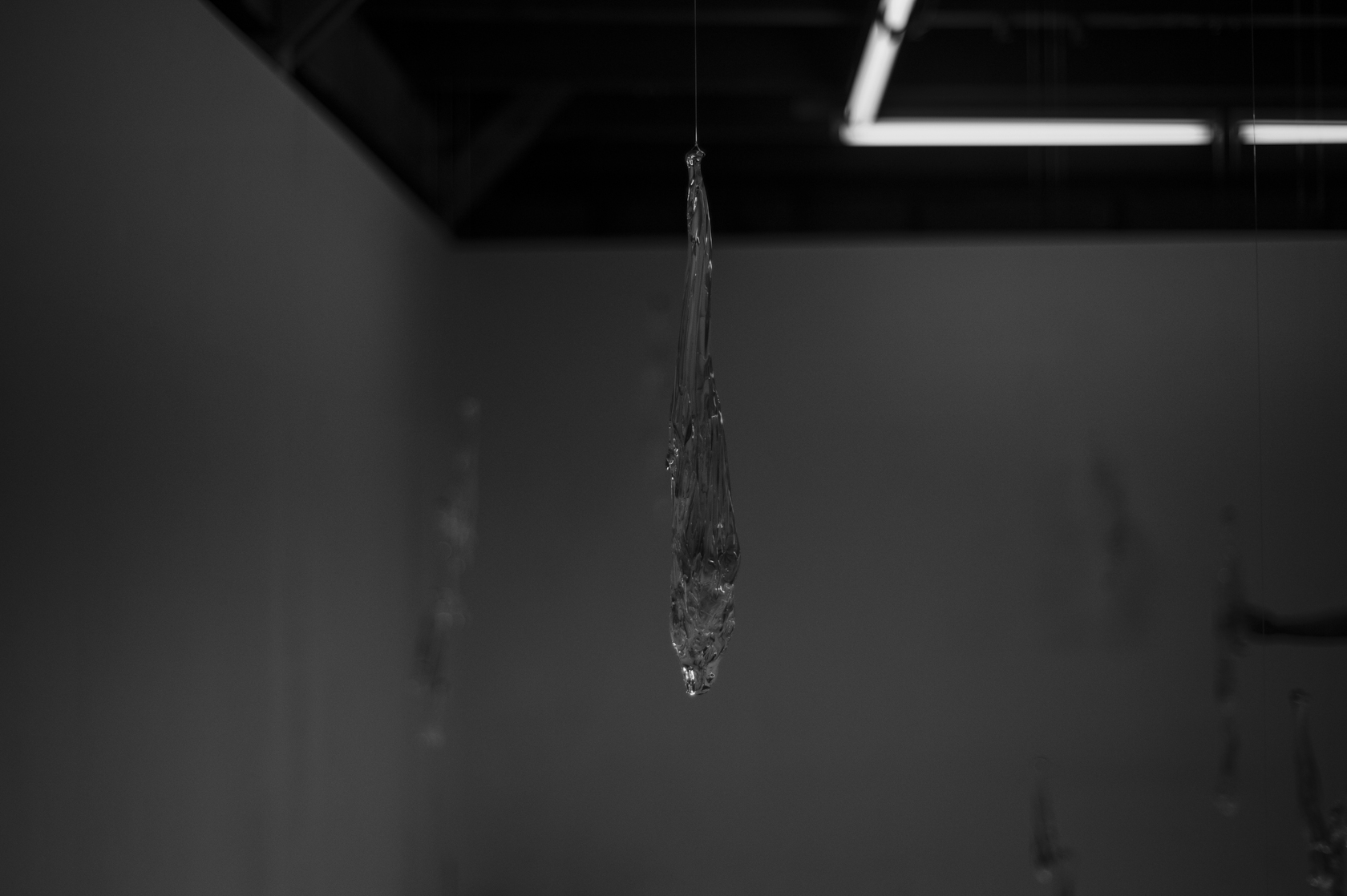 2015073006