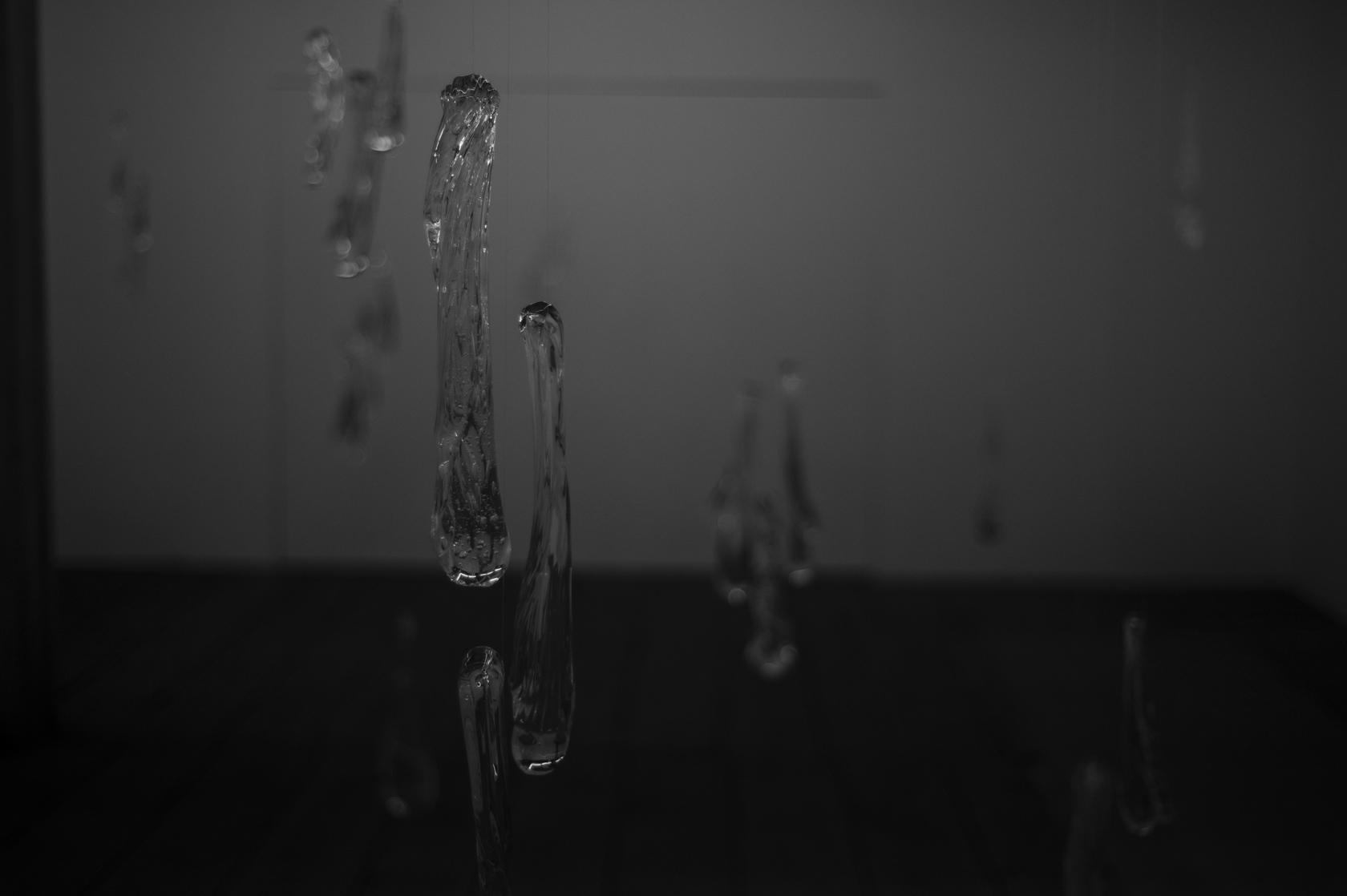 2015073007