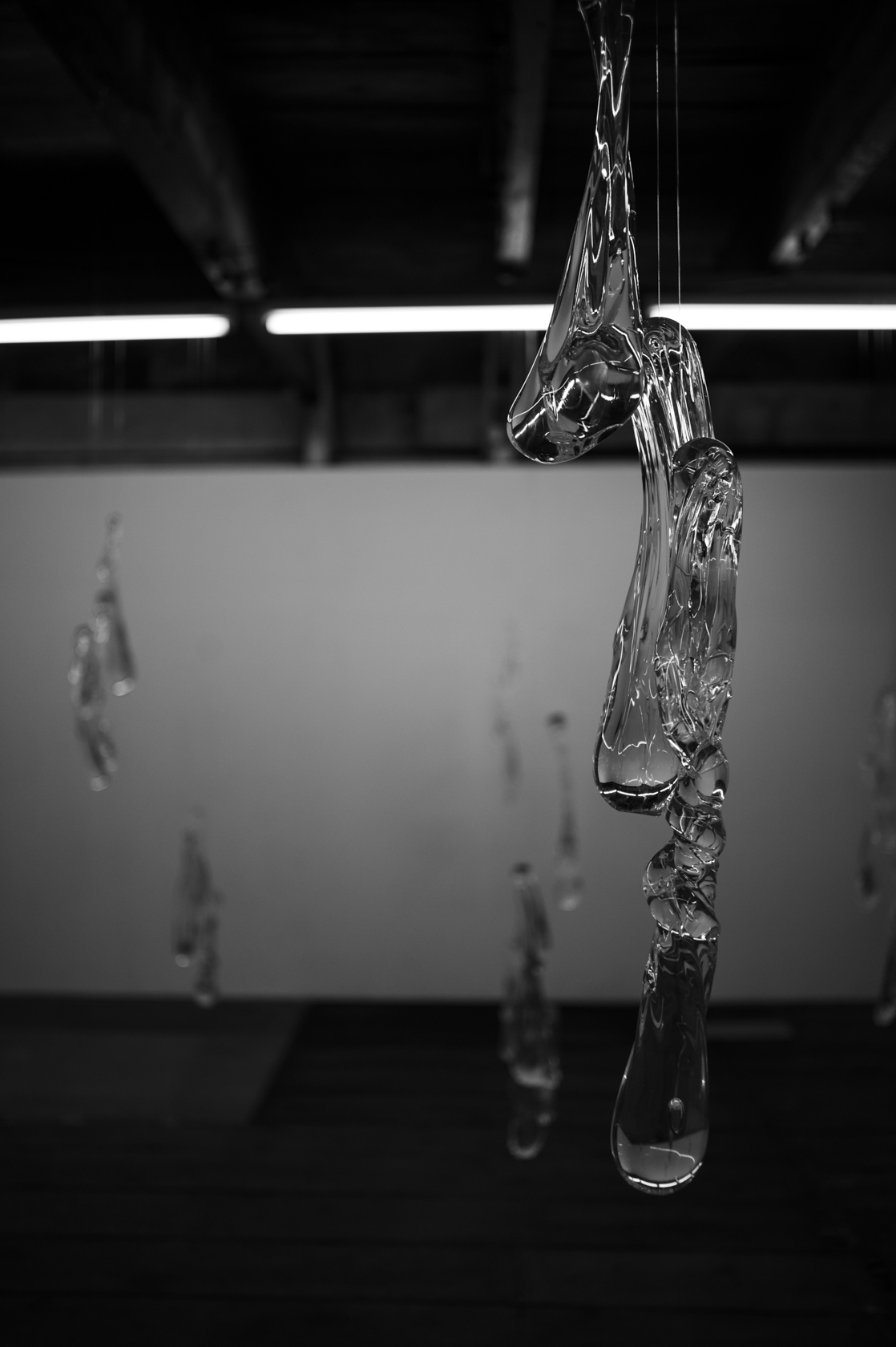 2015073018