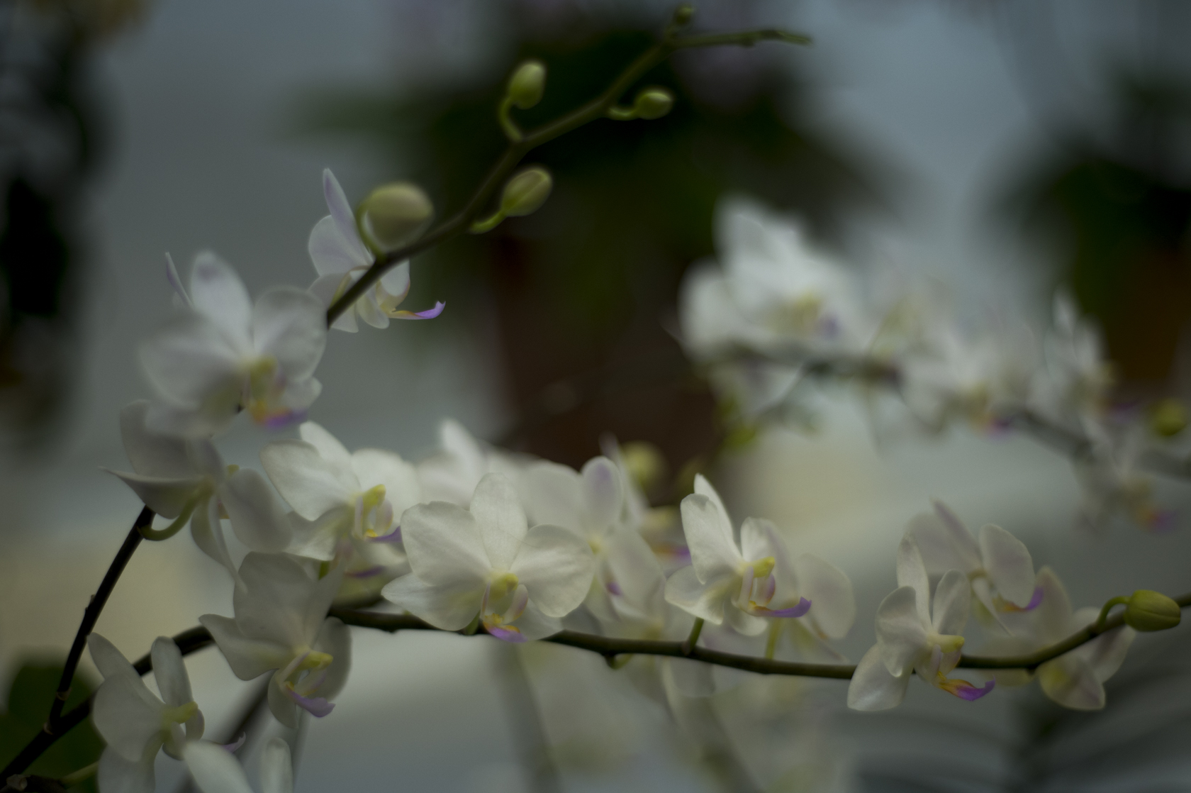 20160417008