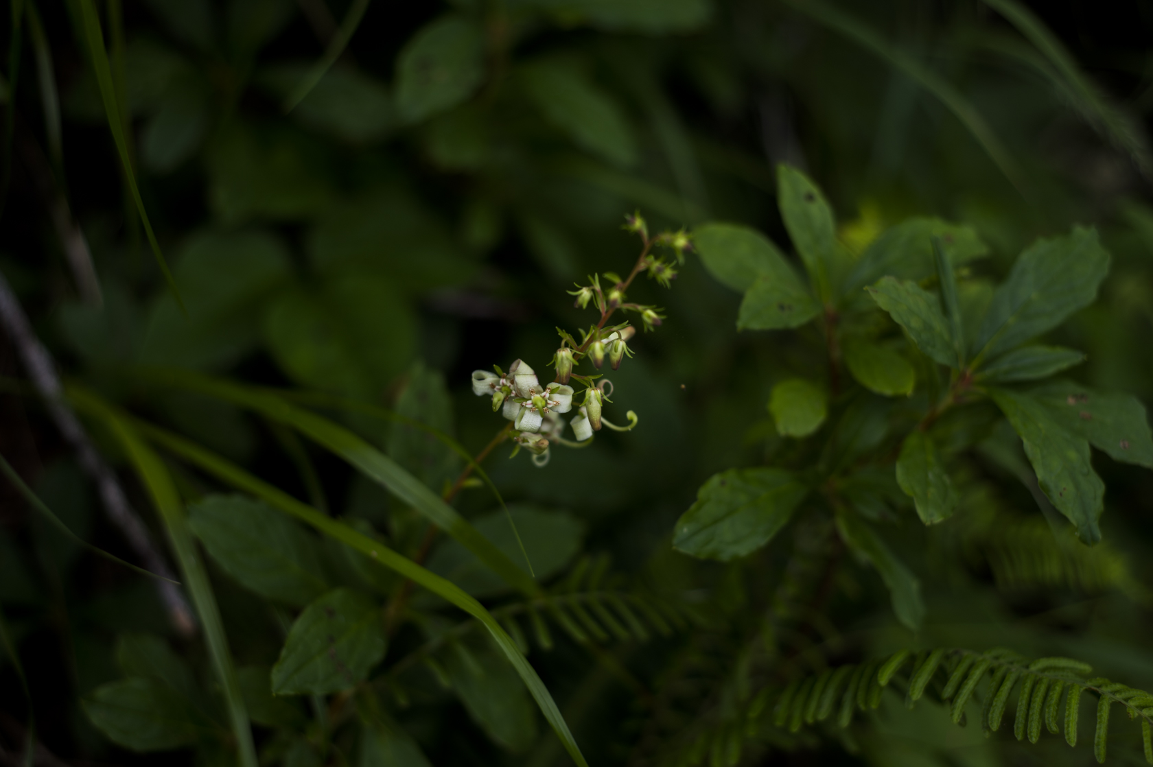 20140719016