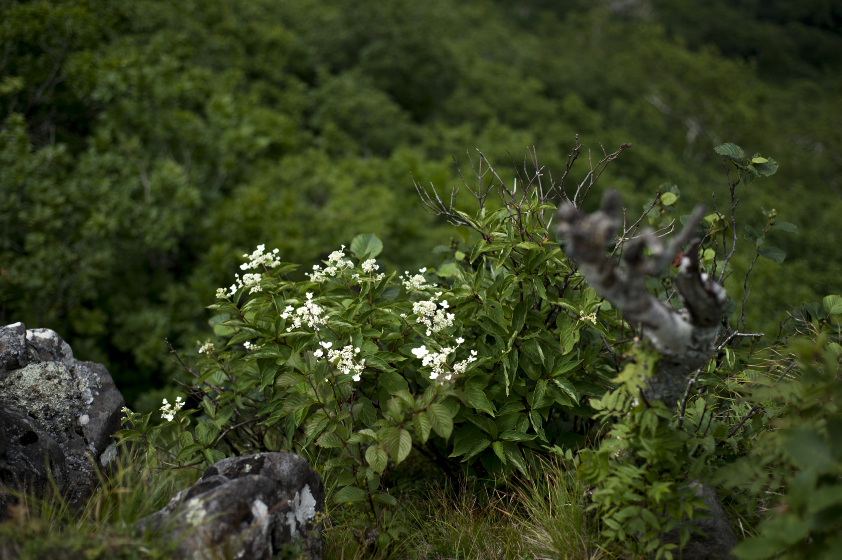 20140719023
