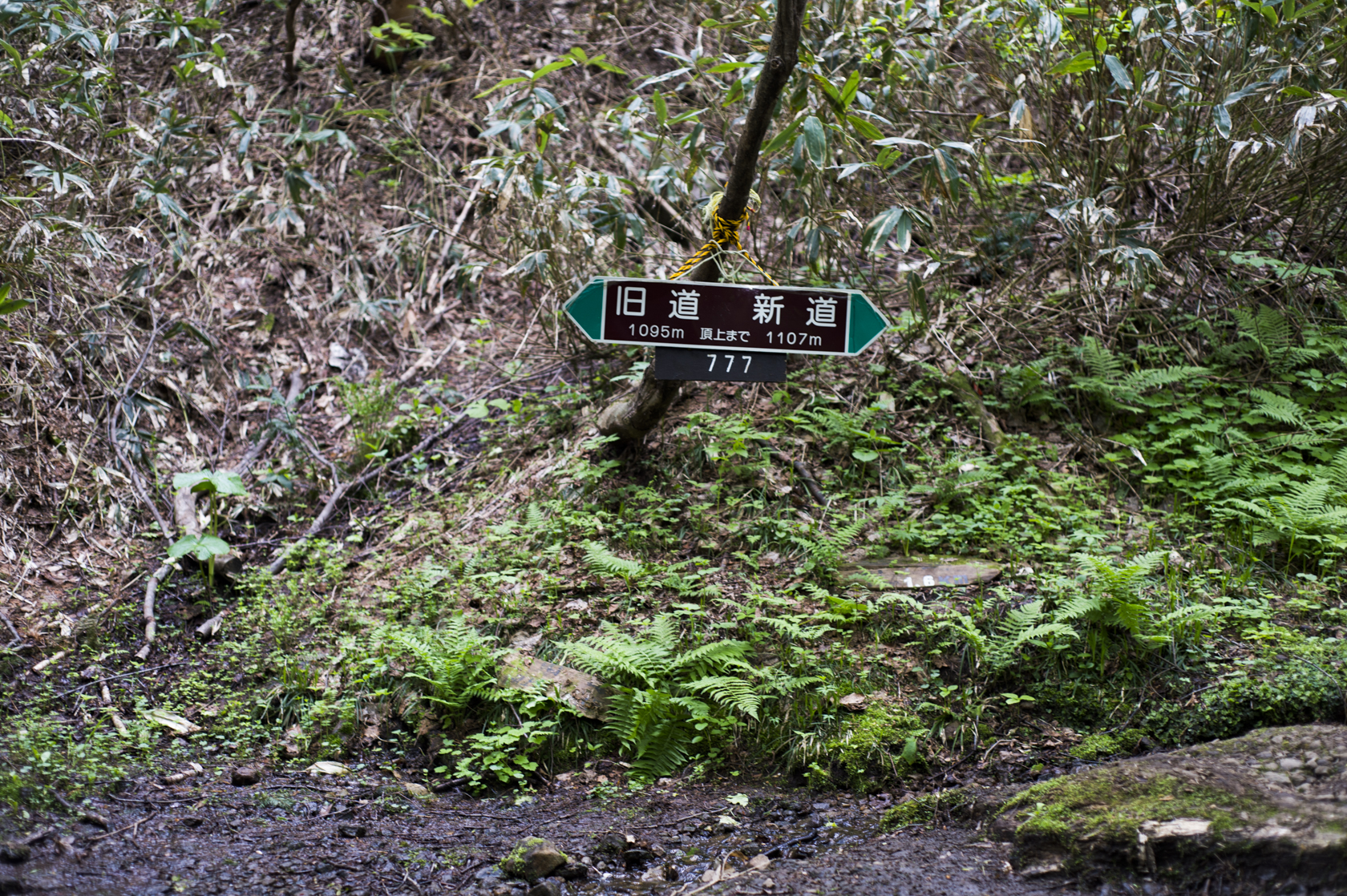 20150530014