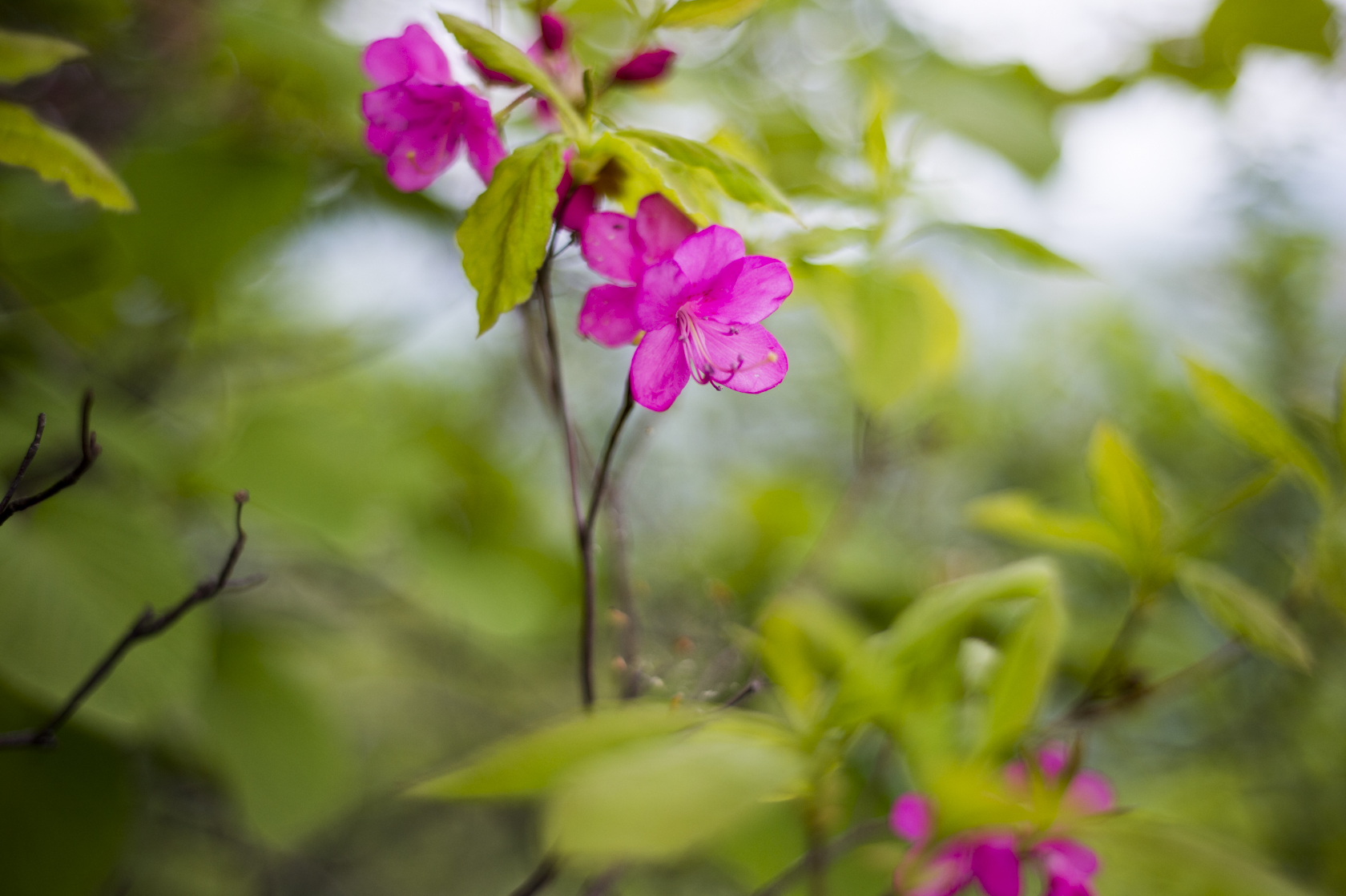 20150530032
