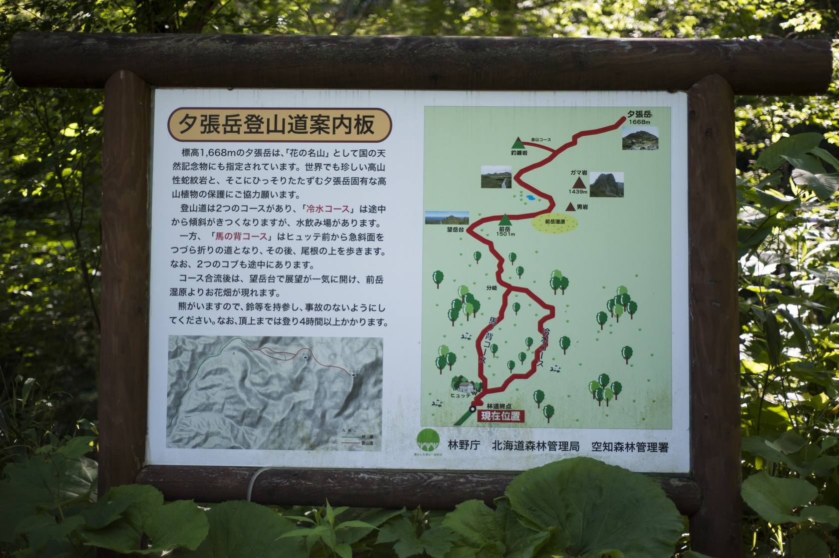 20150705011