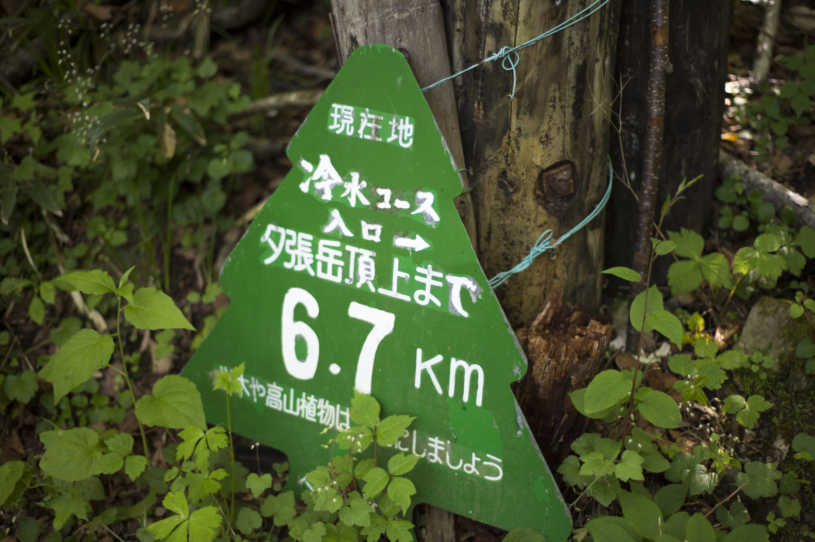20150705015