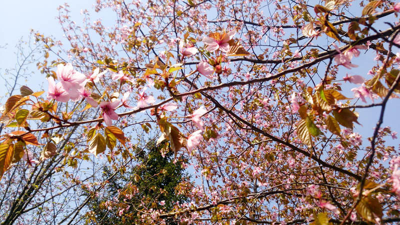 2015050222