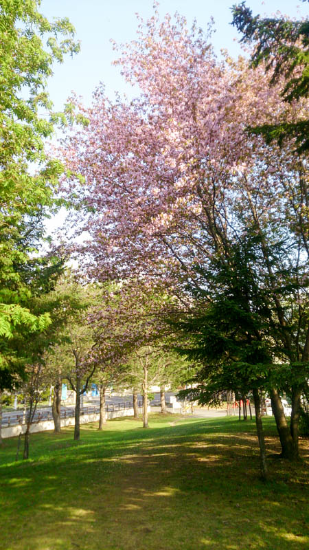 2015050228