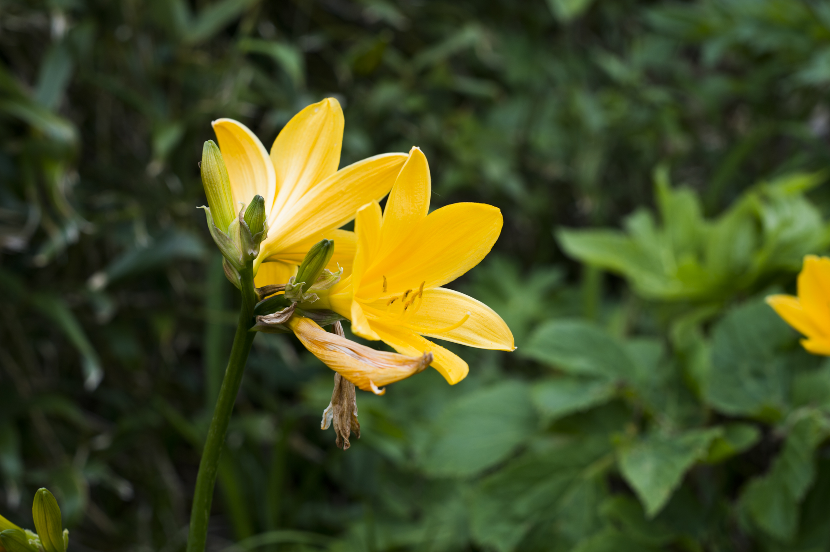 20140622036